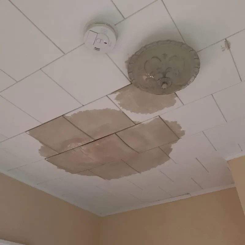 Ceiling Water Damage Repair in Wendell, MA